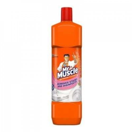 MR.MUSCLE DUCK BATHROOM FLORAL 1X900ML