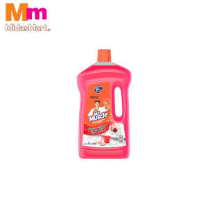 MR. MUSCLE FLOOR CLEANER 