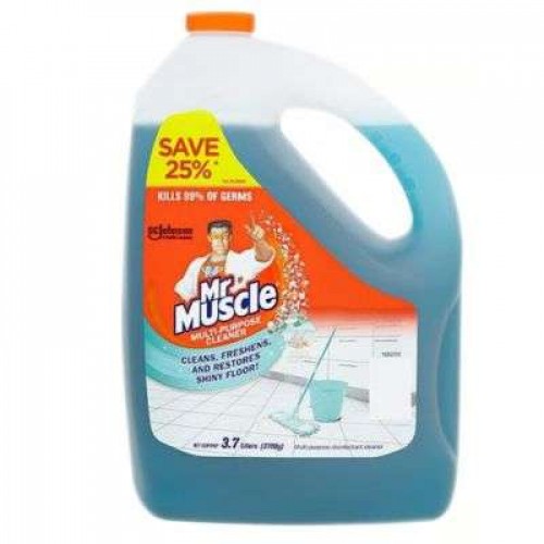 MR. MUSCLE MP CLEANER O.ESCAPE 1X3.7LIT