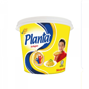 PLANTA MARGARINE 1x480G