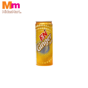 F&N GINGER ADE (325ML)