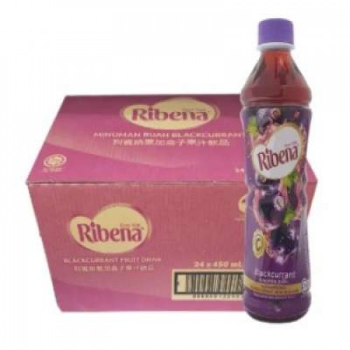 RIBENA PET REGULAR 24X450ML