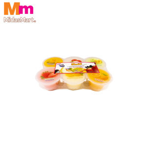 NBI DADIH FRUITS LAYER JELLY ASSORTED 1 (6'S X 110G)