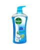 DETTOL SHW GEL COOL 1X950ML