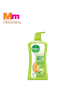 DETTOL SHW GEL LASTING FRESH 1X950ML