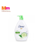 DOVE SHW LIQ FRESH TOUCH 1X1LIT