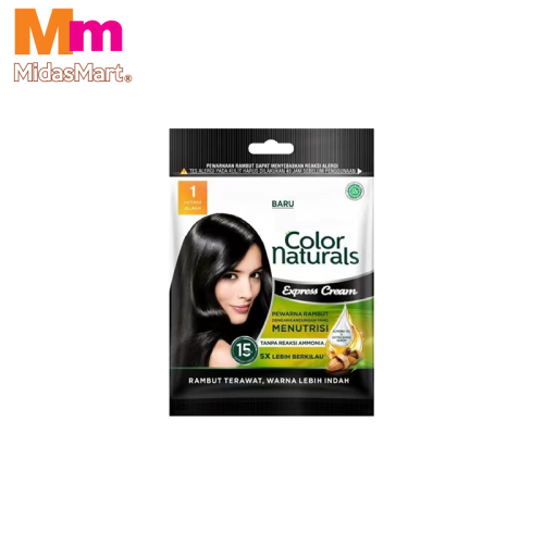 GARNIER COLOR NATURALS EXPRESS SACHET - 1 BLACK (1 PIECE)