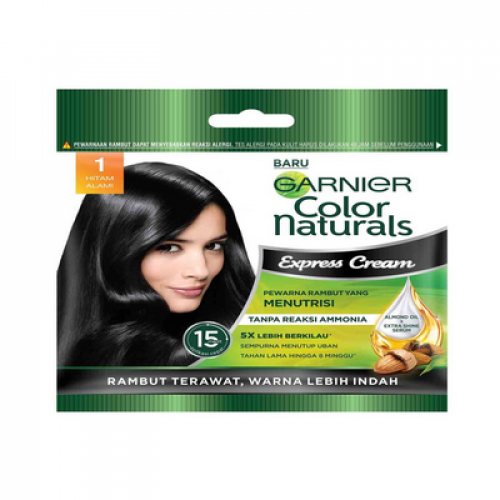 GARNIER CN EXP SACHET 1 HITAM 1X1'S