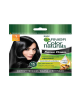 GARNIER CN EXP SACHET 1 HITAM 1X1'S