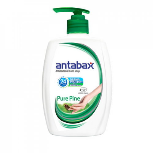 ANTABAX HAND WASH PINE 1X450ML