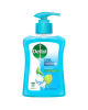 DETTOL HANDWASH COOL 1X250ML