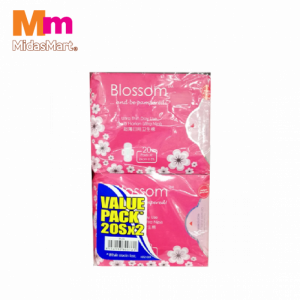 BLOSSOM DAY ULTRATHIN WING 1X2X20'S