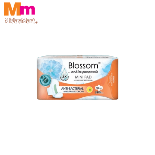 BLOSSOM DAY MINI WING PAD (28 PACK)
