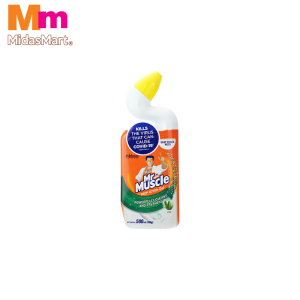 MR MUSCLE TOILET CLEANER PINE (500ML)