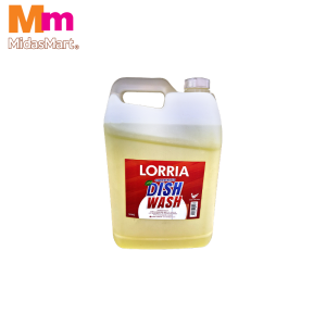 LORRIA DISHWASHING ECONOMY (10L)