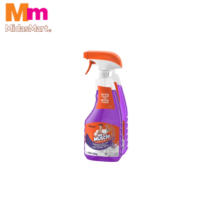 KIWI KLEEN GLASS CLEANER TWIN PACK LAVENDER (2 X 500ML)