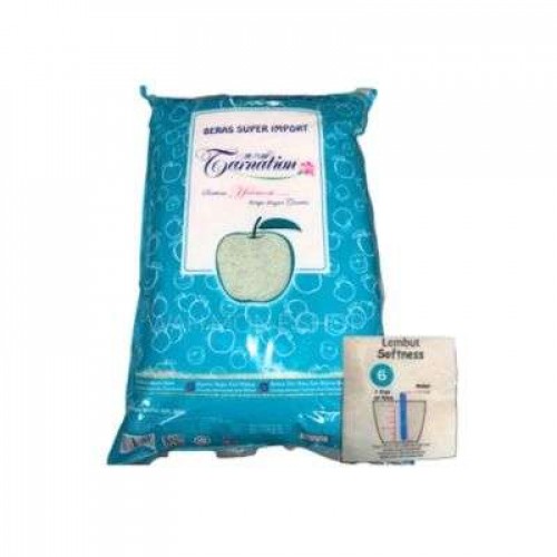 CARNATION APPLE TERQUOISE  RICE (6) 1C10KG  