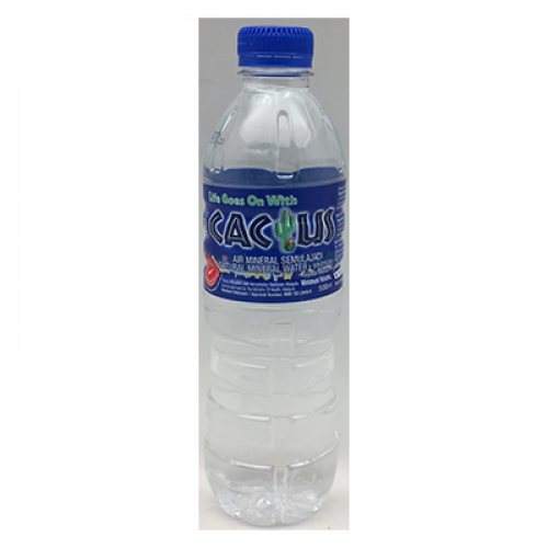 CACTUS MINERAL WATER 1X500ML