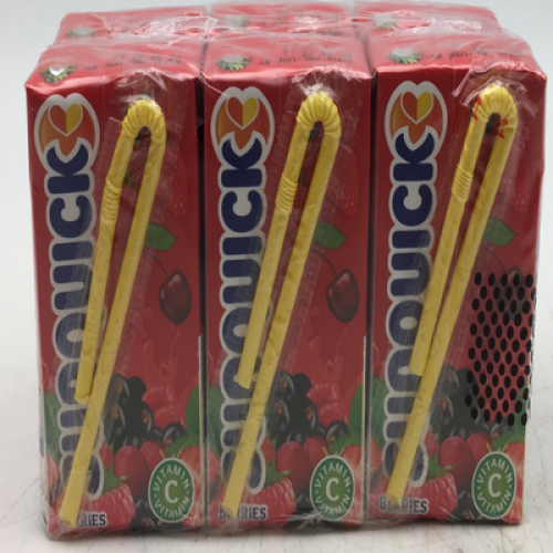 SUNQUICK BERRIES FRUIT DRINK 1X5X125ML