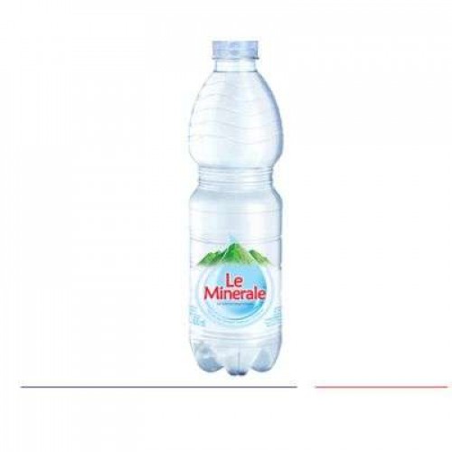 LE MINERALE NAT MINERAL WATER 1X600ML