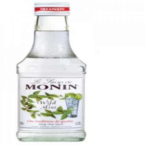 MONIN WILD MINT SYRUP 1X250ML