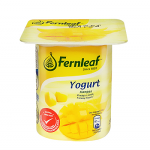 FERNLEAF LOW FAT YOGURT MANGO 1X110G