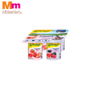 FERNLEAF STRAWBERRY & MULBERRY YOGURT (4 X 110G)