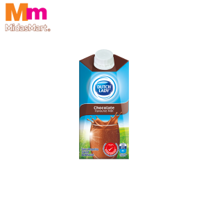 DUTCH LADY CHOCOLATE MILK (300ML)