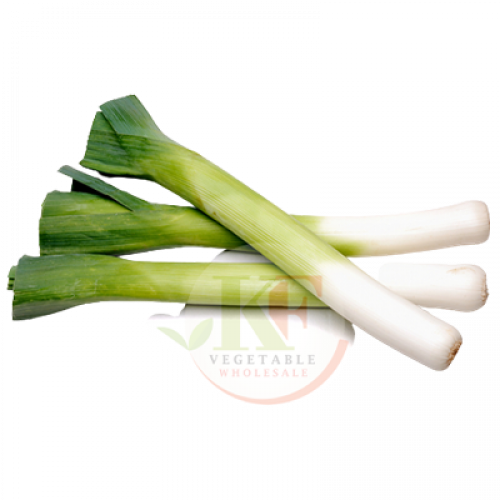 *WELSH ONION 1X500G隆脌