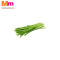 ORGANIC GREEN DRAGON CHIVES (1 PACK)