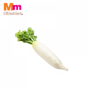 LOBAK PUTIH CINA ( LELONG )