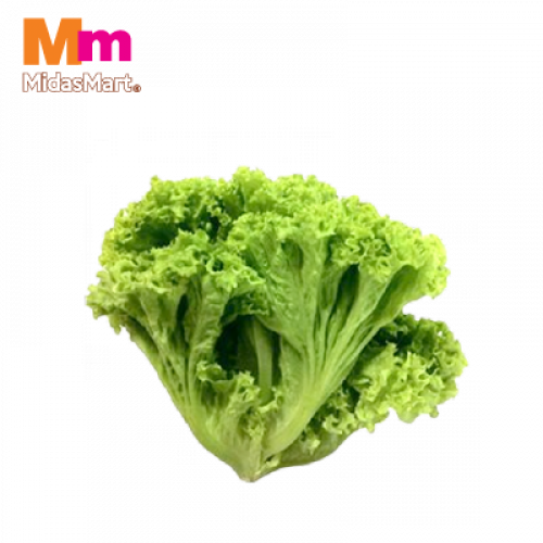 *SALAD HIJAU (CM) 1X200G+/-