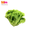 GREEN CORAL LETTUCE (200G +/-)