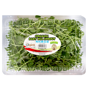 ORGANIC BABY PEA SPROUT 1X150G
