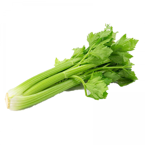 *CELERY CINA 1X800G隆脌