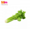 *CELERY CINA 1X800G±
