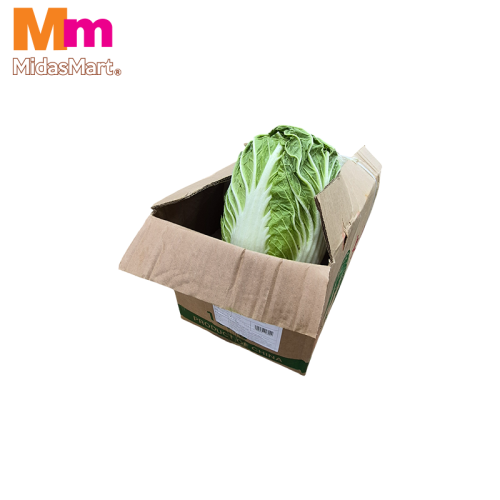 KOBIS PANJANG CINA / CHINESE CABBAGE (10KG+/-)