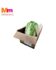 KOBIS PANJANG CINA / CHINESE CABBAGE (10KG+/-)