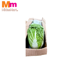 KOBIS PANJANG CINA / CHINESE CABBAGE (10KG+/-)