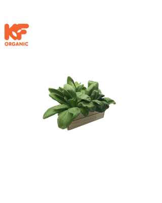 KF ORGANIC SAWI JEPUN (1KG)