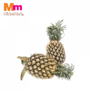 NENAS JOSA ( SIZE B ) PER PC