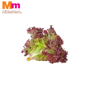ORGANIC LETTUCE RED (300G)