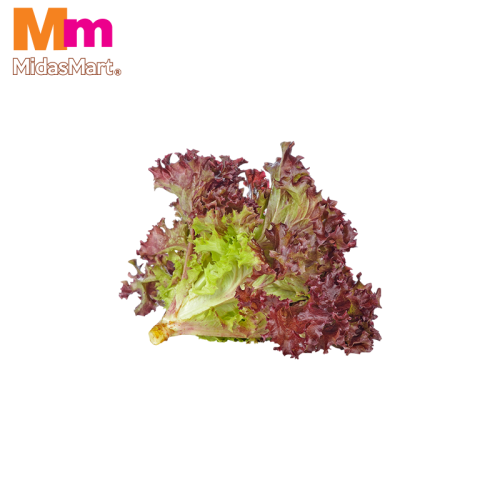 ORGANIC LETTUCE RED (300G)