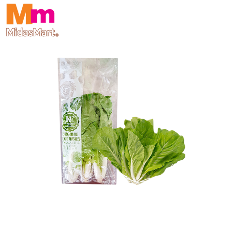 ORGANIC SAWI KERINTING / CURLY MUSTARD GREENS (300G)