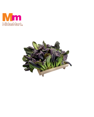 ORGANIC PURPLE TAT SOI (1KG)