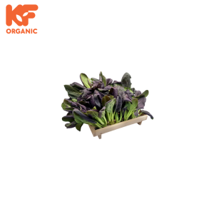 KF ORGANIC PURPLE TAT SOI (1KG)