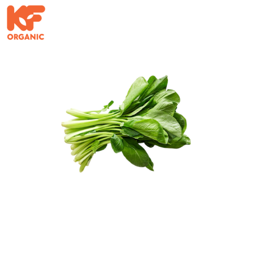 KF ORGANIC KOMATSUNA (1KG)