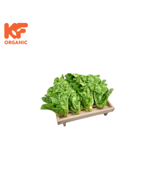 KF ORGANIC MINICOS (1KG)
