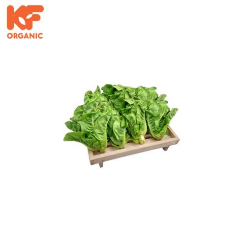 KF ORGANIC MINICOS (1KG)