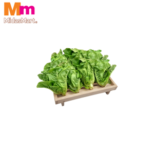 ORGANIC MINICOS / MINI ROMAINE LETTUCE (300G)